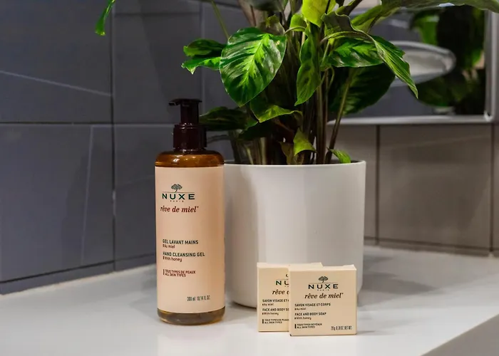 Hotel Mercure Centro 4*